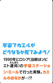 宇宙でカエルがどうなるか見てみよう！ 1990年にロシア（当時はソビエト連邦）の宇宙ステーション・ミールで行った実験。カエルのおなかが…!?