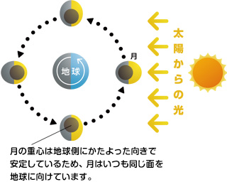 月の重心は地球側にかたよった向きで安定しているため、月はいつも同じ面を地球に向けています。